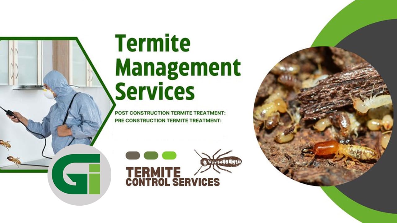 Commercial Pest Control Services in Patna, Bihar